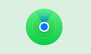 FMI OFF - iPad (9th generation) - WiFi Model Only - [iPad12,1]